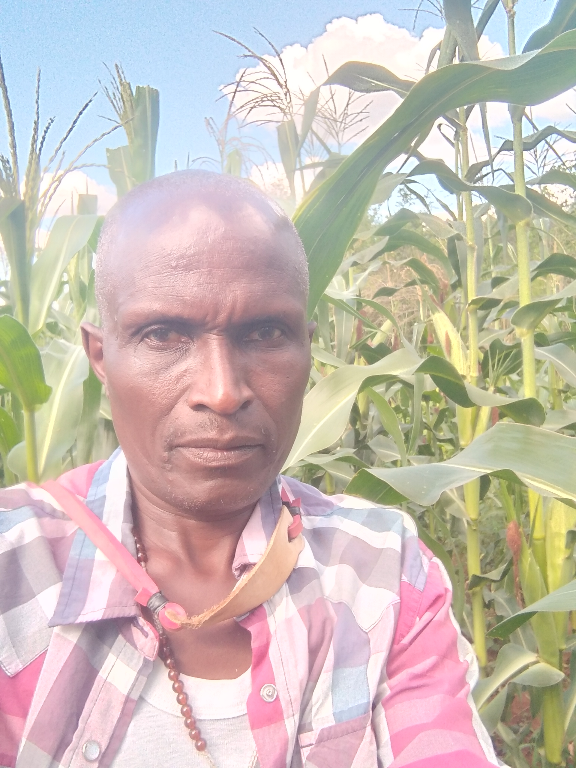 Boniface Farming Group