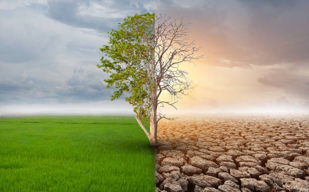 Call for Funding Proposals: Economics of Climate Change Adaptation in Africa
