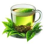 The Tea Exporters