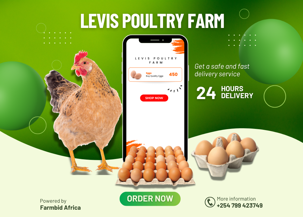 Levis poultry farm 