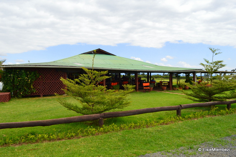 barney's bar and restaurant