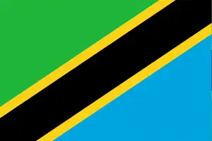 Tanzania Flag